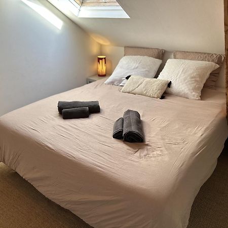 Duplex Loft - Central & Home Cinema Annecy Ngoại thất bức ảnh