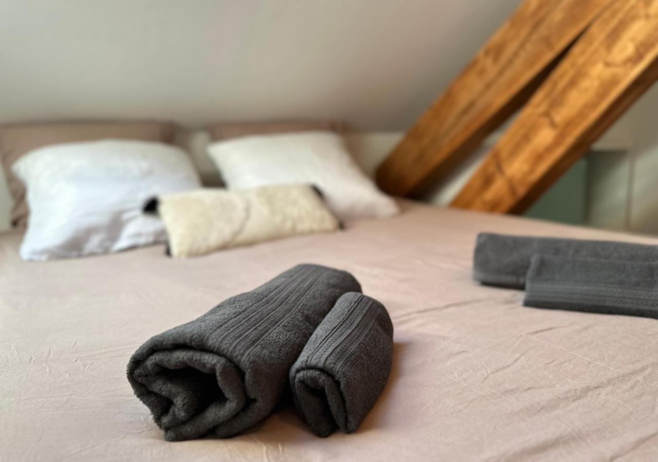 Duplex Loft - Central & Home Cinema Annecy Ngoại thất bức ảnh