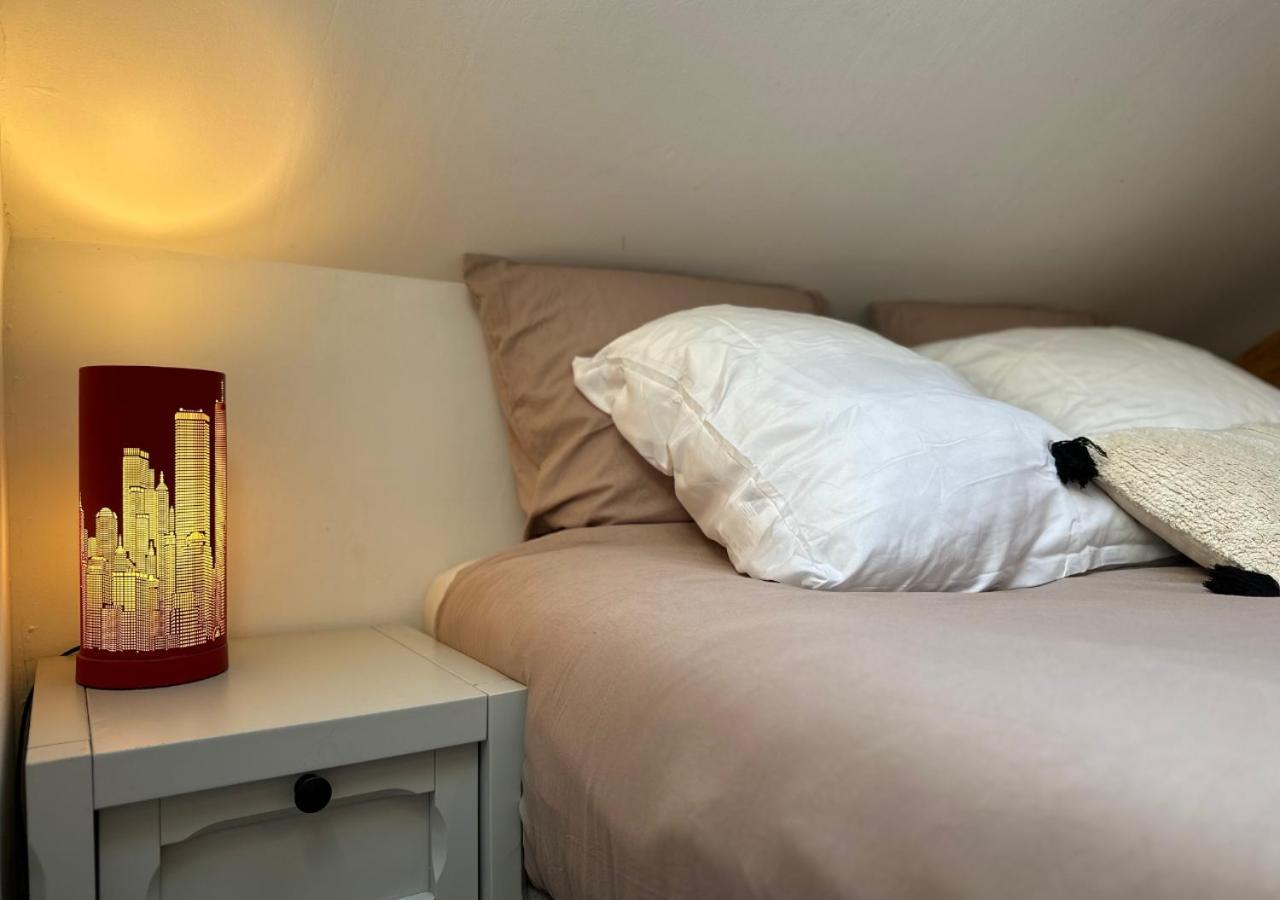 Duplex Loft - Central & Home Cinema Annecy Ngoại thất bức ảnh