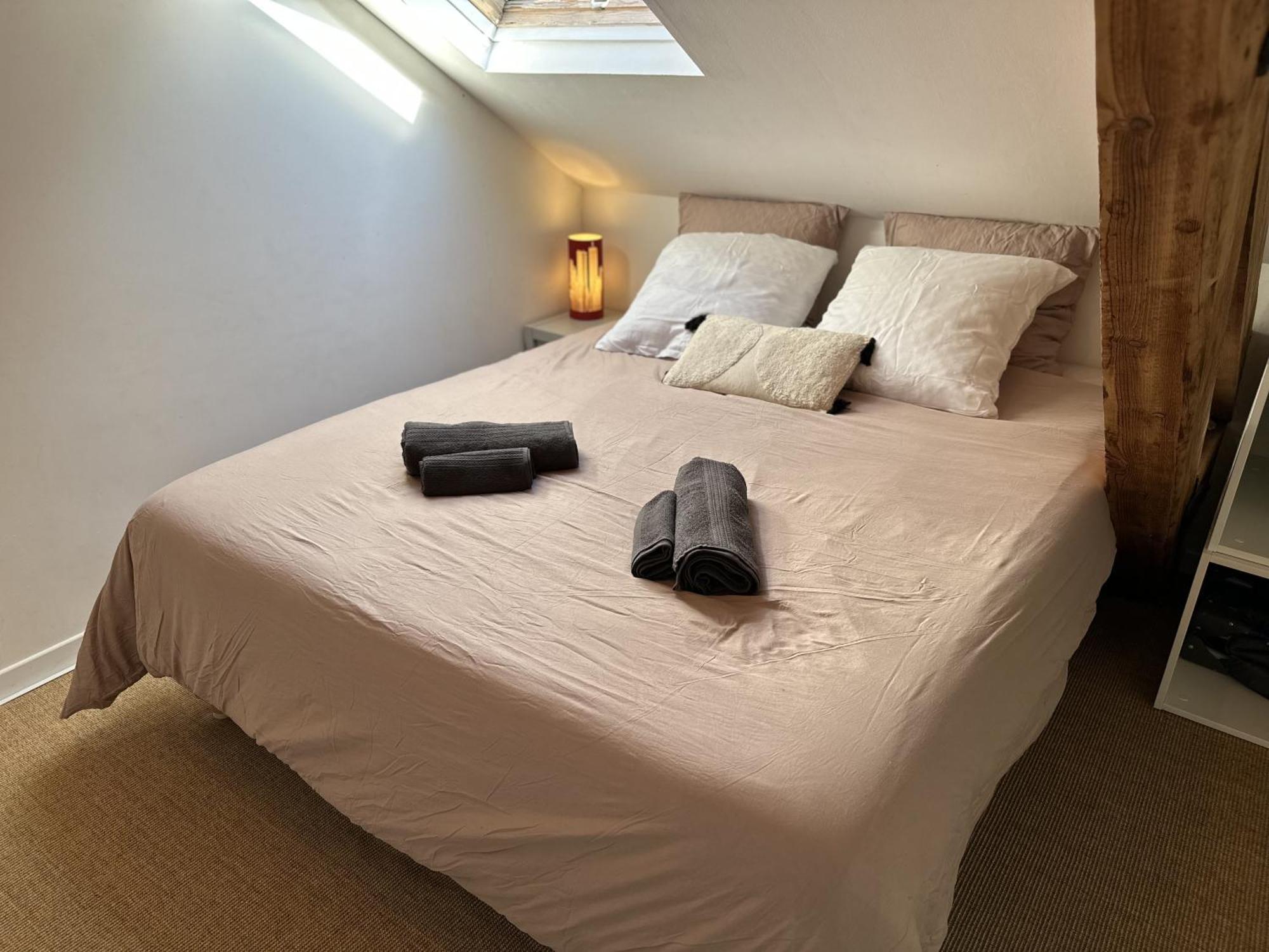 Duplex Loft - Central & Home Cinema Annecy Ngoại thất bức ảnh
